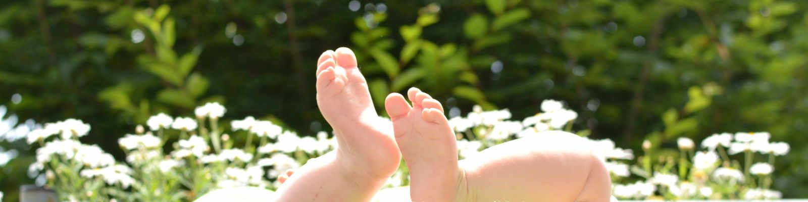 201904 Familienhebamme Banner 201904 Familienhebamme Banner